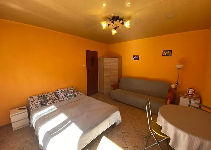 Goscinne Marcin 民宿 *